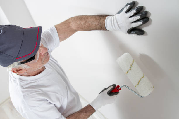 Best Basement Mold Removal  in Conning Towers Nautilus Park, CT