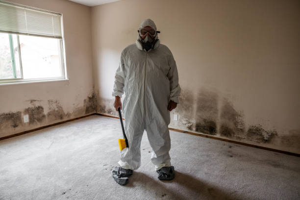 Best Mold Remediation for Healthcare Facilities  in Conning Towers Nautilus Park, CT